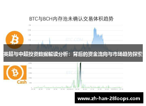 英超与中超投资数据解读分析：背后的资金流向与市场趋势探索