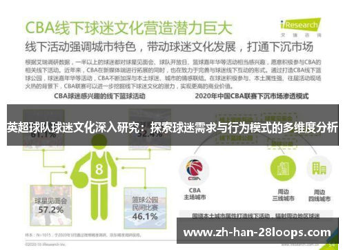 英超球队球迷文化深入研究：探索球迷需求与行为模式的多维度分析