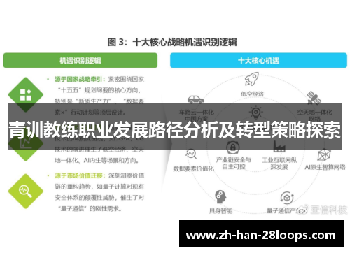 青训教练职业发展路径分析及转型策略探索